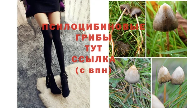 ГАЛЛЮЦИНОГЕННЫЕ ГРИБЫ Лабытнанги
