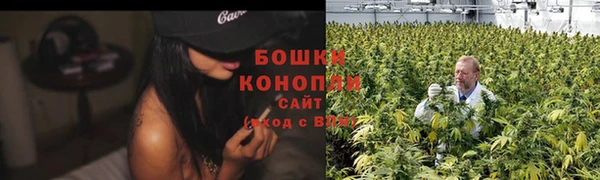 ГАЛЛЮЦИНОГЕННЫЕ ГРИБЫ Лабытнанги