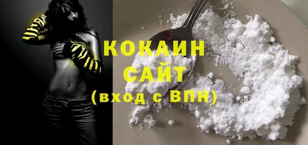 гидра Кулебаки