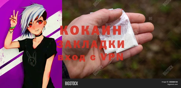 ГАЛЛЮЦИНОГЕННЫЕ ГРИБЫ Лабытнанги