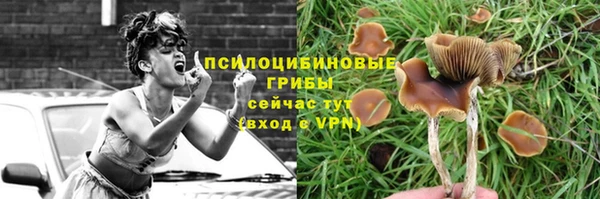 PSILOCYBIN Кукмор