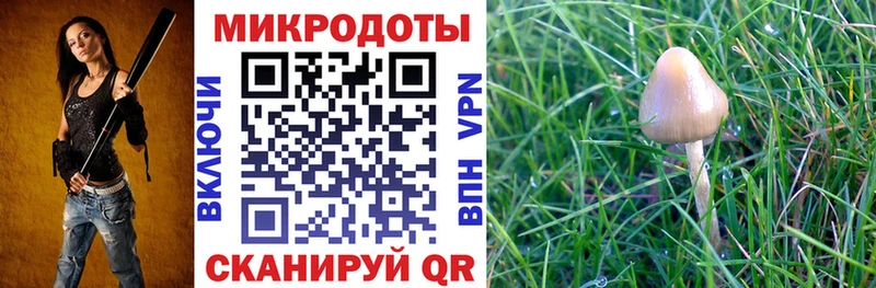 Галлюциногенные грибы Cubensis  Нижняя Тура 